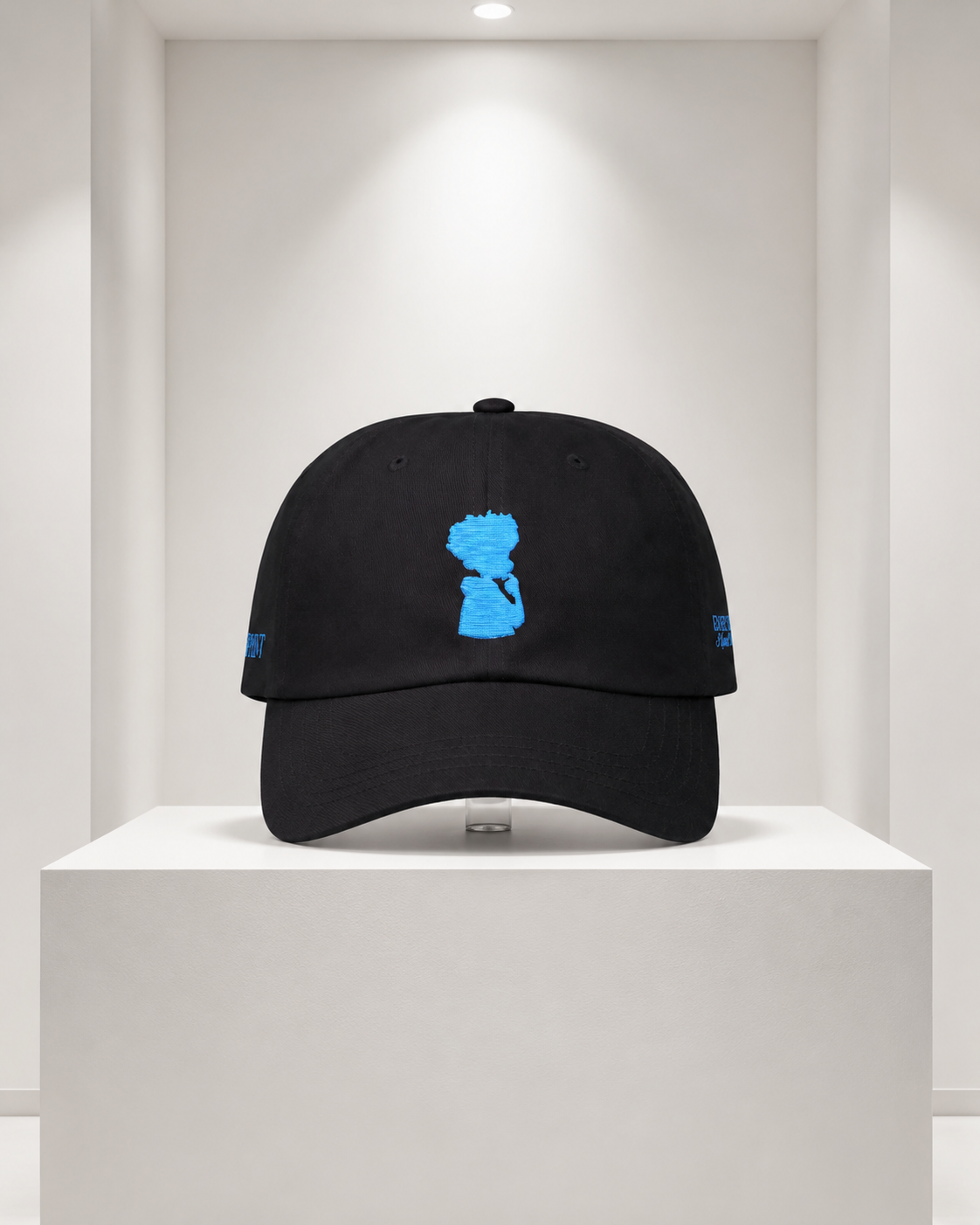 The "Blueprint" Silhouette Embroidered Cap