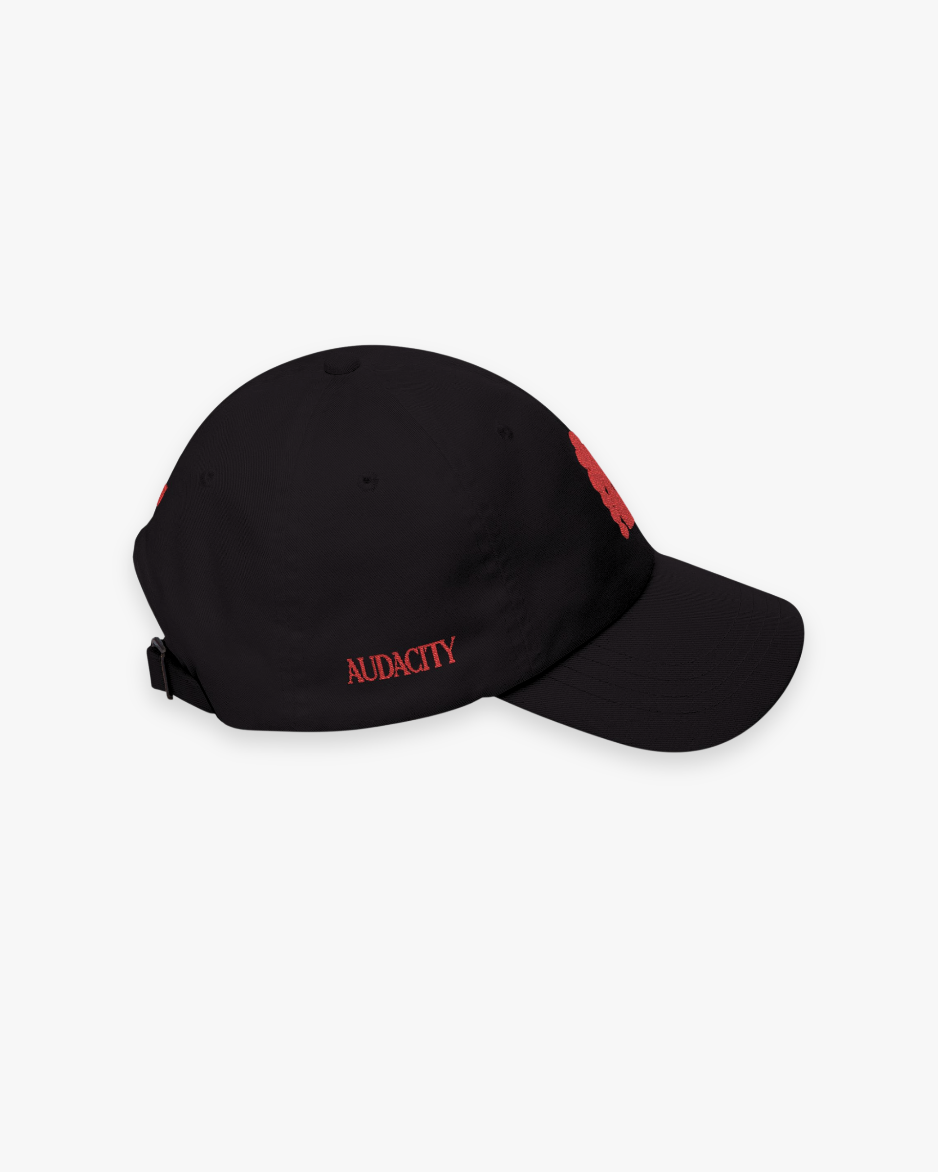 The “Audacity” Silhouette Embroidered Cap